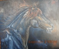 /album/galerie-photos/de-glace-et-de-feu-jpg1/